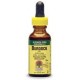 Nature's Answer Burdock Root Alcohol Free 1 oz