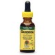 Nature's Answer Goldenseal Root Alcohol Free 1 oz