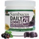 Natures Answer Sambucus Daily Gummy X 45ct
