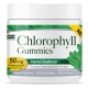 Natures Answer Chlorophyll Gummies 60ct
