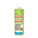 Desert Essence Green Apple Watermelon 2n1 Shampoo 12oz