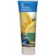 Desert Essence Shampoo Italian Lemon Organic 8oz