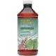 Desert Essence Prebiotic Brushing Rinse Mint 15.8oz