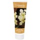 Desert Essence Hand & Body Lotion Vanilla Chai Organics 8 Oz