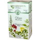Celebration Herbals Chaga Organic Tea 24bg