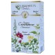 Celebration Herbals Cinnamon Saigon Organic Tea 24bg