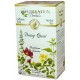 Celebration Herbals Dong Quai Organic Tea 24bg