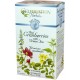 Celebration Herbals Green Tea with Cranberry 24bg