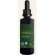 Global Healing Moringa Leaf 2oz Global Healing Moringa Leaf 2oz