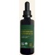 Global Healing Elderberry & Echinacea 2oz Global Healing Elderberry & Echinacea 2oz