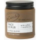 Upcircle Face Scrub Citrus Blend 3.38oz