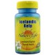 Nature's Life Icelandic Kelp 41mg 250ct