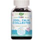 Nature's Way Kids Cool, Calm & Collect 40ct