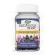 Nature's Way Sambucus Relief Gummy 36ct