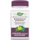 Nature's Way Rhodiola Energy Extract 40cp