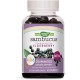 Nature's Way Sambucus Gummies for Kids 60ct