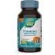 Nature's Way Turmeric Standardized 60tb