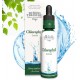 Buried Treasure Chlorophyll Extract 2oz