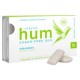 Stevita Hum Gum Spearmint Sugar Free 12/12ct