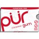 Pur Gum Gum Cinnamon 12/9ct