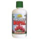 Dynamic Health Nopal Juice Blend Organic 33.8oz