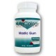 Nutricology Mastic Gum 500mg 120 Caps