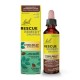 RESCUE CHOCOLATE MINT