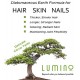 Lumino Wellness Silica For Hair Skin Nail 6oz/Bag