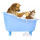 Lumino Wellness Dry Deodorant Shampoo for Pets 7.0oz