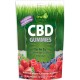 Irwin Naturals CBD Gummy Mix Berry 15mg 30ct