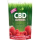 Irwin Naturals CBD Gummy Raspberry 30mg 30ct