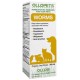 Ollopets Worms 1ct