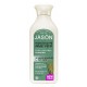 Jason Natural Shampoo Aloe Vera 84% 16 oz