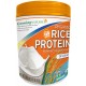 Growing Naturals Rice Drink Original Powder Organic 1lb