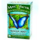 Mate' Factor Mocha Mint Yerba Mate Tea Organic 20ct