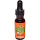 SeabuckWonders Sea Buckthorn Berry Oil Organic .45oz